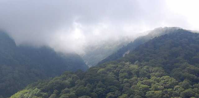 信濃湧水採水地